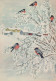 VOGEL Tier Vintage Ansichtskarte Postkarte CPSM #PAM793.DE - Birds
