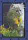 KATZE MIEZEKATZE Tier Vintage Ansichtskarte Postkarte CPSM #PAM539.DE - Cats