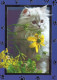 KATZE MIEZEKATZE Tier Vintage Ansichtskarte Postkarte CPSM #PAM539.DE - Gatos