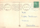 FLEURS Vintage Carte Postale CPSMPF #PKG029.FR - Flowers