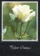 FLEURS Vintage Carte Postale CPSM #PBZ671.FR - Fleurs