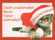 CHAT CHAT Animaux Vintage Carte Postale CPSM #PBQ888.FR - Chats