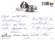 CHIEN Animaux Vintage Carte Postale CPSM #PBQ363.FR - Cani