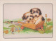 CANE Animale Vintage Cartolina CPSM #PAN542.IT - Cani