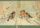 UCCELLO Animale Vintage Cartolina CPSM #PAM734.IT - Oiseaux