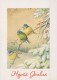 UCCELLO Animale Vintage Cartolina CPSM #PAM856.IT - Vögel