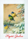 UCCELLO Animale Vintage Cartolina CPSM #PAM856.IT - Vogels