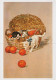 GATTO KITTY Animale Vintage Cartolina CPSM Unposted #PAM288.IT - Cats