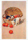 GATTO KITTY Animale Vintage Cartolina CPSM Unposted #PAM288.IT - Gatti