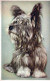 HUND Tier Vintage Ansichtskarte Postkarte CPA #PKE793.DE - Honden