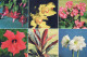 FLOWERS Vintage Ansichtskarte Postkarte CPSM #PBZ312.DE - Flowers