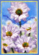 FLOWERS Vintage Ansichtskarte Postkarte CPSM #PBZ011.DE - Flores