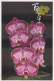 FLOWERS Vintage Ansichtskarte Postkarte CPSM #PBZ192.DE - Fiori