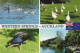 VOGEL Tier Vintage Ansichtskarte Postkarte CPSM #PBR542.DE - Vogels