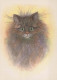 KATZE MIEZEKATZE Tier Vintage Ansichtskarte Postkarte CPSM #PBQ951.DE - Cats