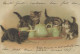 KATZE MIEZEKATZE Tier Vintage Ansichtskarte Postkarte CPSM #PBR019.DE - Cats