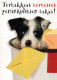 HUND Tier Vintage Ansichtskarte Postkarte CPSM #PBQ364.DE - Dogs