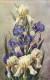 Illustrateur Tingri IRIS  RV - Blumen