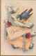 UCCELLO Vintage Cartolina CPSMPF #PKG968.IT - Vögel