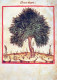 ALBERO Vintage Cartolina CPSM #PBZ977.IT - Bäume