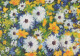 FIORI Vintage Cartolina CPSM #PBZ253.IT - Blumen