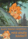 DISNEY CARTOON Vintage Cartolina CPSM #PBV517.IT - Scènes & Paysages