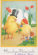 PASQUA POLLO UOVO Vintage Cartolina CPSM #PBO720.IT - Easter