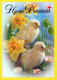 PASQUA POLLO UOVO Vintage Cartolina CPSM #PBO660.IT - Ostern