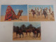 ALGERIE PITTORESQUE - Lot De 3 Cartes - Autres & Non Classés