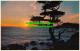 R519318 Beautiful Sunset On Central California Coastline. Magazine Agency. Mike - Monde