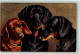 13922905 - Primus Nr. 270  Sign. Paul Thomas AK - Dogs