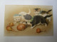 CPA ILLUSTREE CHATS CHATONS JEUX OIGNONS - Cats