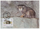 Maximum Card Tajikistan 1986 Wildcat - WWF - Altri & Non Classificati