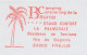 Meter Cut France 1991 Palm Tree - Alberi