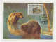 Maximum Card Soviet Union 1962 Beaver - Otros & Sin Clasificación