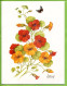 LOT 9 Cartes Doubles 15 X 20 Cm * FLEURS Diverses Toutes Avec PAPILLON Signées AMMON Illustrateur * Publicatiions Quay - Flowers