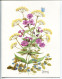 LOT 9 Cartes Doubles 15 X 20 Cm * FLEURS Diverses Toutes Avec PAPILLON Signées AMMON Illustrateur * Publicatiions Quay - Blumen