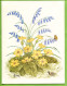 Delcampe - LOT 9 Cartes Doubles 15 X 20 Cm * FLEURS Diverses Toutes Avec PAPILLON Signées AMMON Illustrateur * Publicatiions Quay - Bloemen