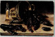 39677005 - Hummer Stilleben Tucks Oilette Nr.573 B Kuenstlerkarte - Pescados Y Crustáceos
