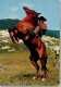 12059305 - May, Karl R 18 Eine Szene Aus  Winnetou II. - Native Americans