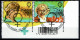 België OBP 3882/3883 - Int. Vrouwenraad Conseil Des Femmes - Used Stamps