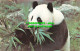 R519768 Giant Panda. The Zoological Society Of London - Autres & Non Classés