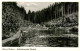 73851865 Altenau Harz Waldschwimmbad Okerteich Altenau Harz - Altenau