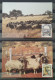 SOUTH WEST AFRICA SWA 1986 Swakara Industry FDC, Maxicards & Control Blocks Of 4 Sets - Africa Del Sud-Ovest (1923-1990)
