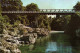 CPM - MARLBOROUGH - Pelorous Bridge .... Edition Whitcombe & Tombs Ltd - Nouvelle-Zélande