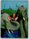 39629405 - Elefanten Frieda Krone Sembach Chefin Foto AK - Circus