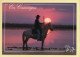 Chevaux : En Camargue / Le Gardian / Coucher De Soleil (voir Scan Recto/verso) - Horses