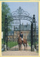 Chevaux : Cavalier Devant La Grille Du Château De Fleury-la-Forêt (27) (voir Scan Recto/verso) - Horses