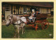 Chevaux : Attelage / Enfants En Costumes De Normandie (voir Scan Recto/verso) - Horses