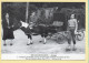 Chevaux : Attelage De Poney Promenade De L'association Enfantine Des Jardins De Paris / Champs De Mars - Horses